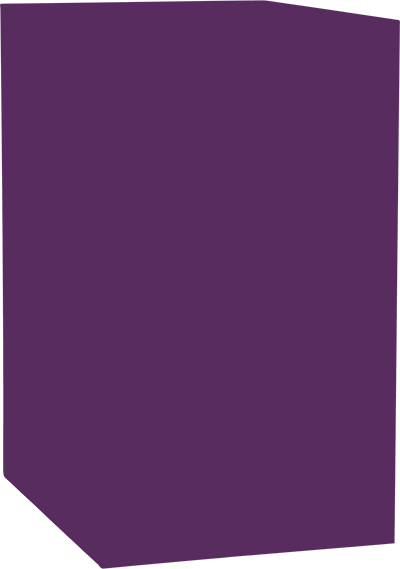 Purple Pantone 525 Colour